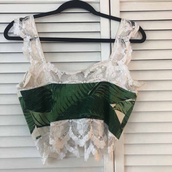 RARE! Stone Cold Fox Palm Top - Picture 5 of 6